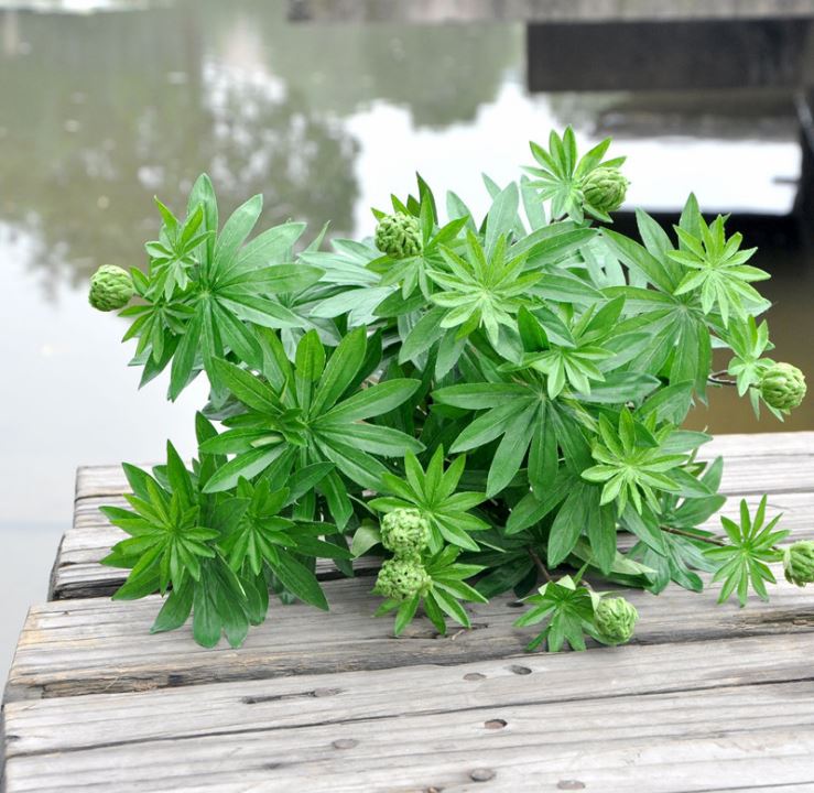 Kệ cây xẻ thùy trang trí nhà đẹp LanDecor (78cm) - CC463