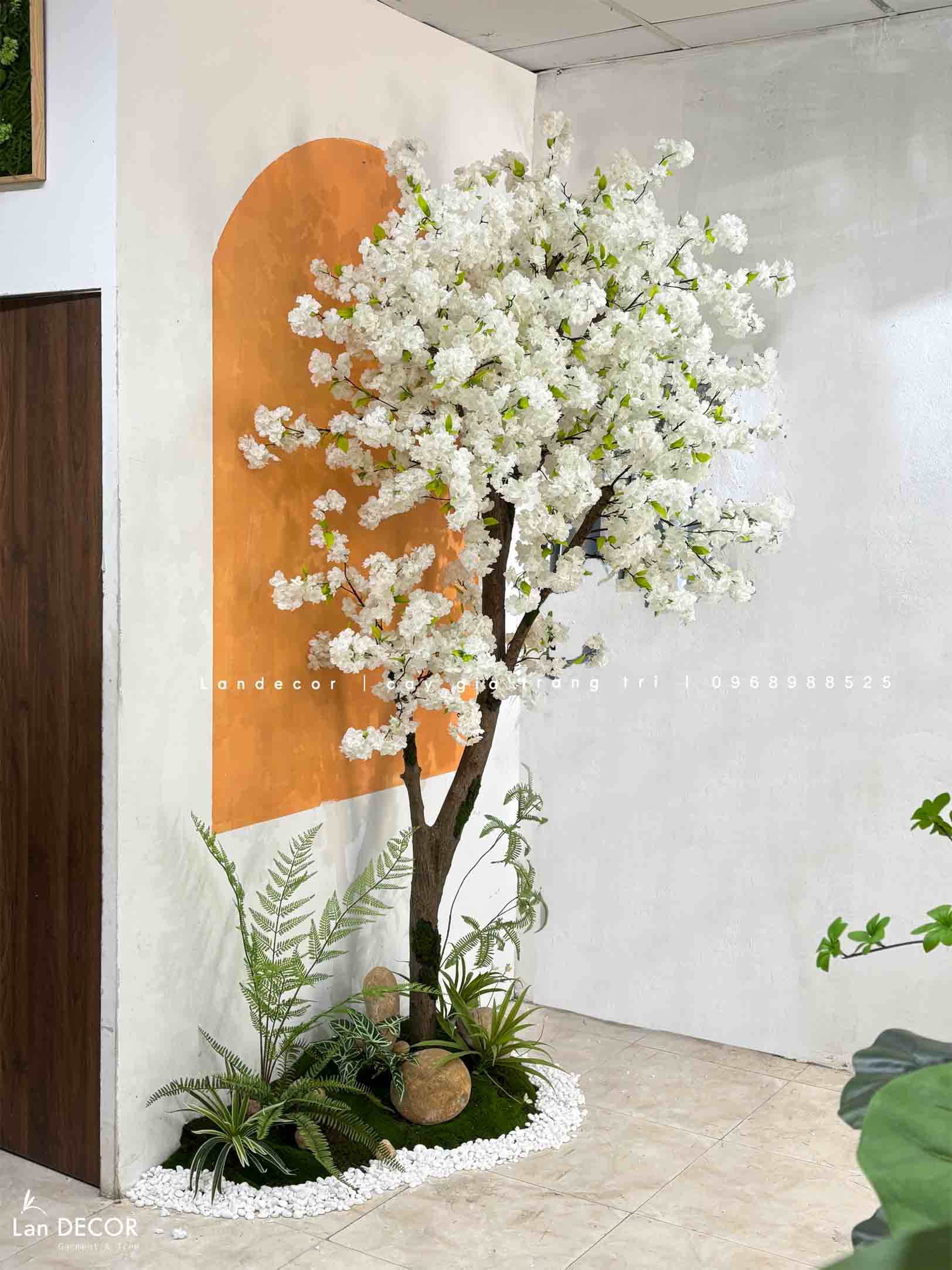 Bồn Hoa Anh Đào Thiết Kế Tiểu Cảnh (110x60x270cm)- RC055