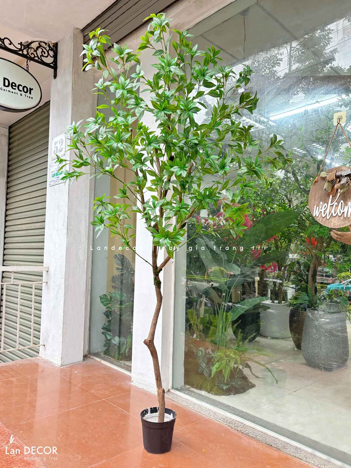 Cây Size Lớn Thiết Kế- Cây Asebi Giả Thiết Kế Sảnh Lớn, Trưng Bày Không Gian Ấn Tượng (200cm)- CC1188