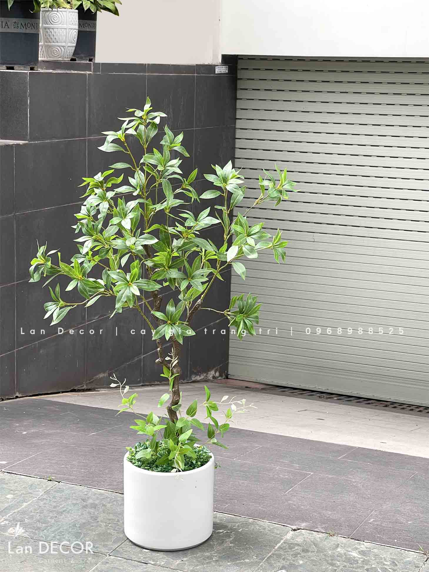 CÂY ASEBI TRANG TRÍ KHÔNG GIAN ĐẸP LẠ (130cm)- CC867