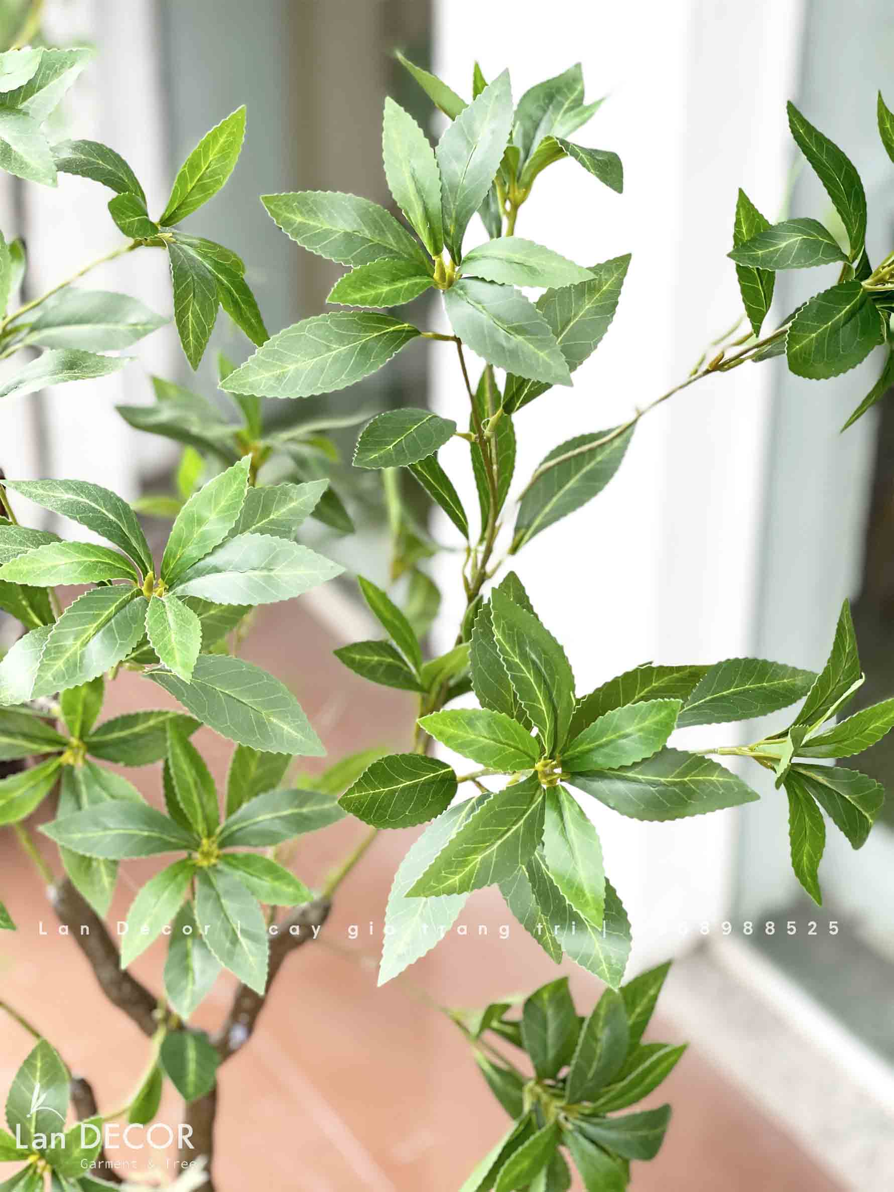 CÂY ASEBI TRANG TRÍ KHÔNG GIAN ĐẸP LẠ (130cm)- CC867