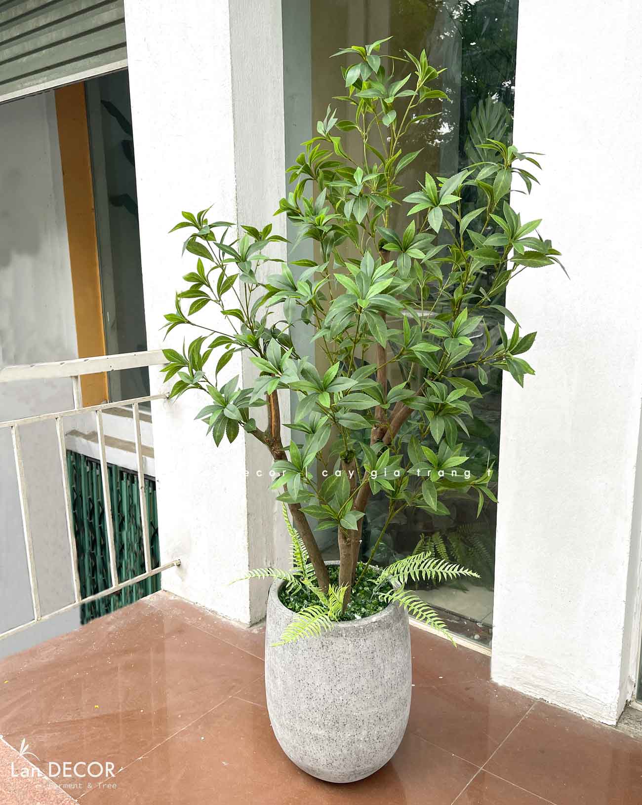 Cây Giả Trang Trí- Cây Asebi Thiết Kế Cửa Hiệu Xanh Mát (130cm)- CC1056