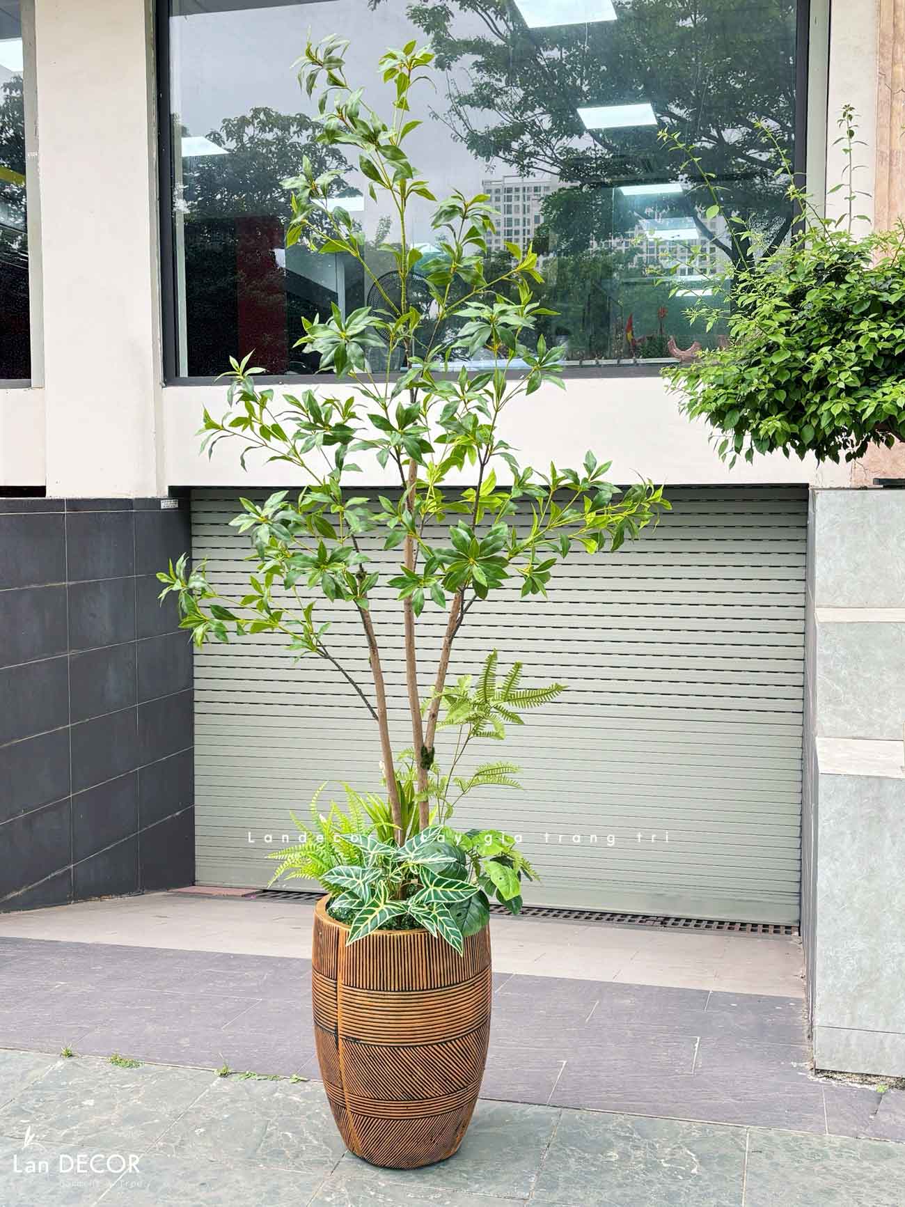 Chậu Xi Măng Trồng Cây Cảnh Họa Tiết Độc Lạ, Tạo Điểm Nhấn Không Gian (35x50cm)- CXM049