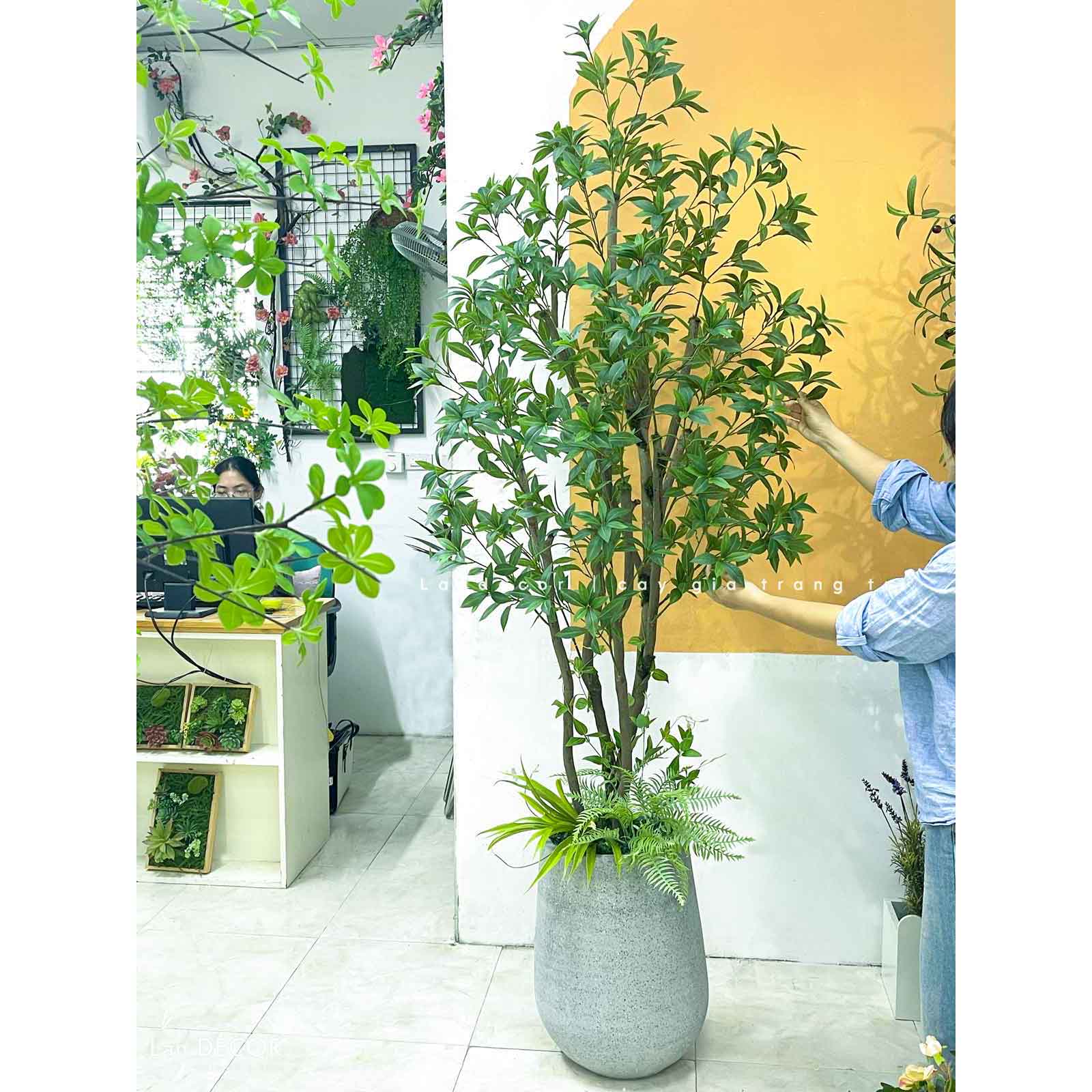 Cây Lá Giả- Cây Asebi Giả Trang Trí Văn Phòng (190cm)- CC1058