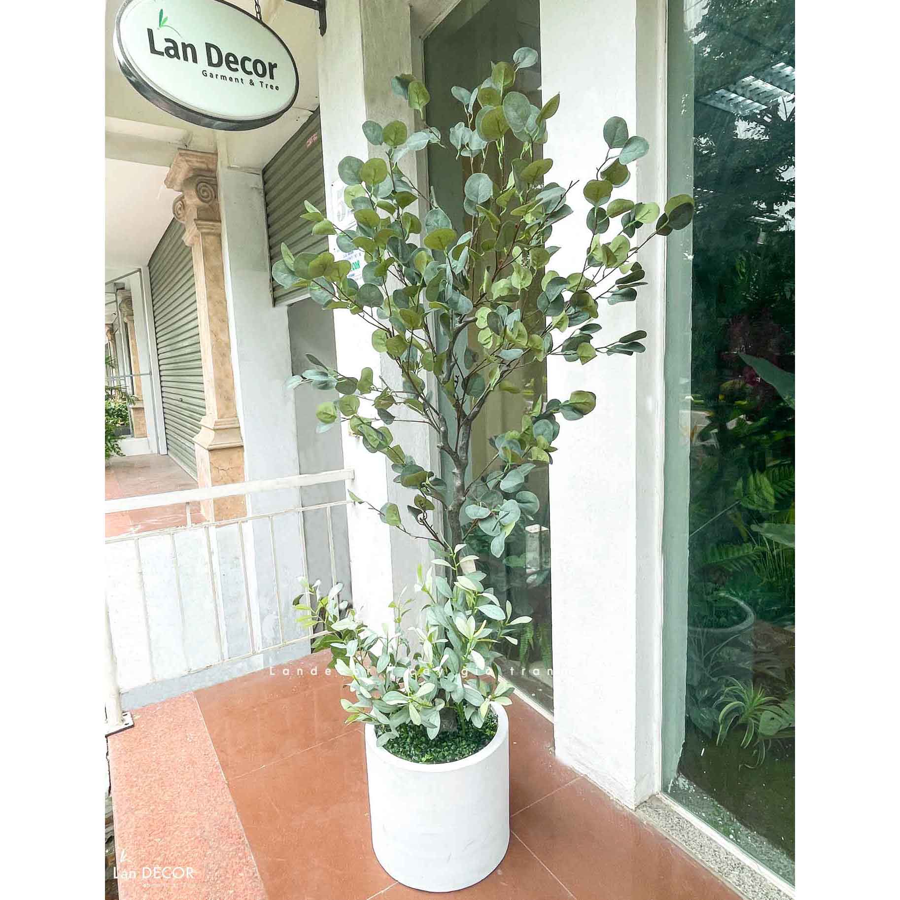 Cây Bạch Đàn Giả- Chậu Cây Bạch Đàn Bắc Âu Trang Trí Đẹp Mắt (185cm)- CC1139