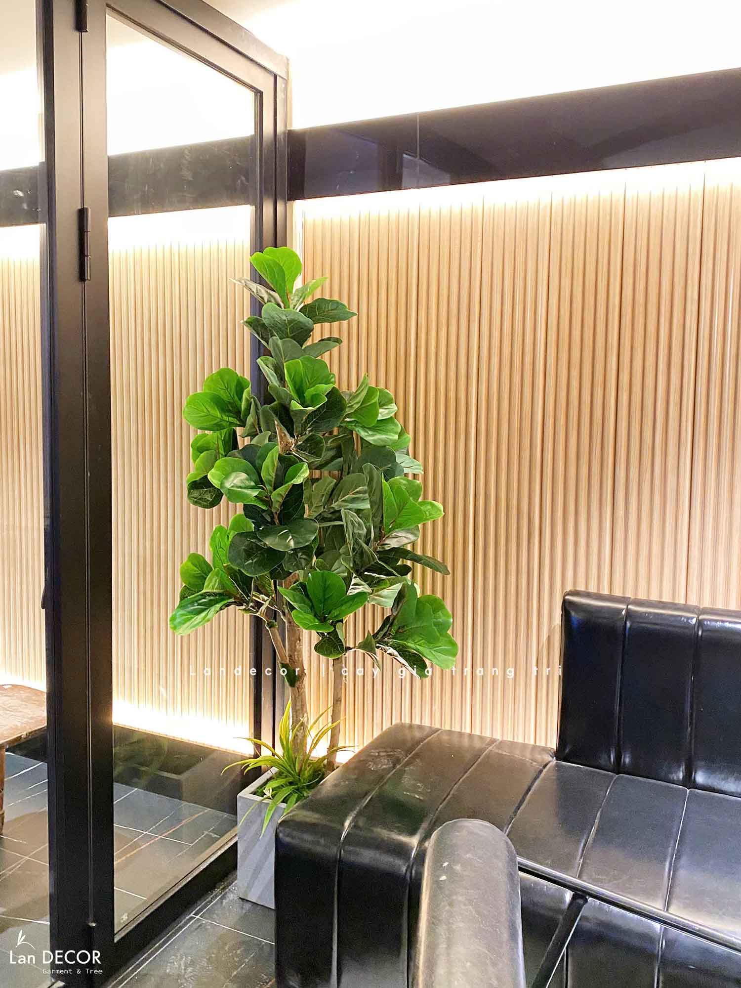 Cây Bàng Singapore Giả Trang Trí Bền Đẹp (180cm)- CC1001