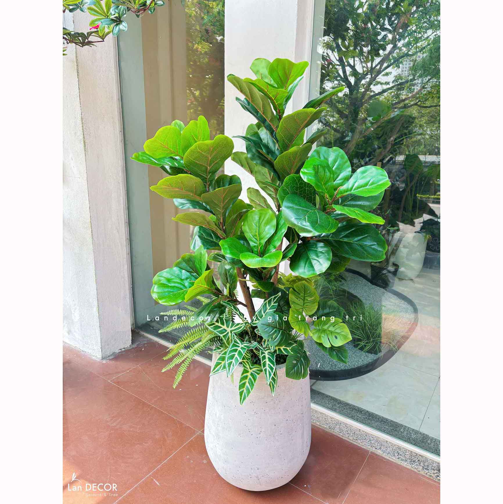 Cây Bàng Giả- Cây Bàng Giả Decor Không Gian Xanh (110cm)- CC1276