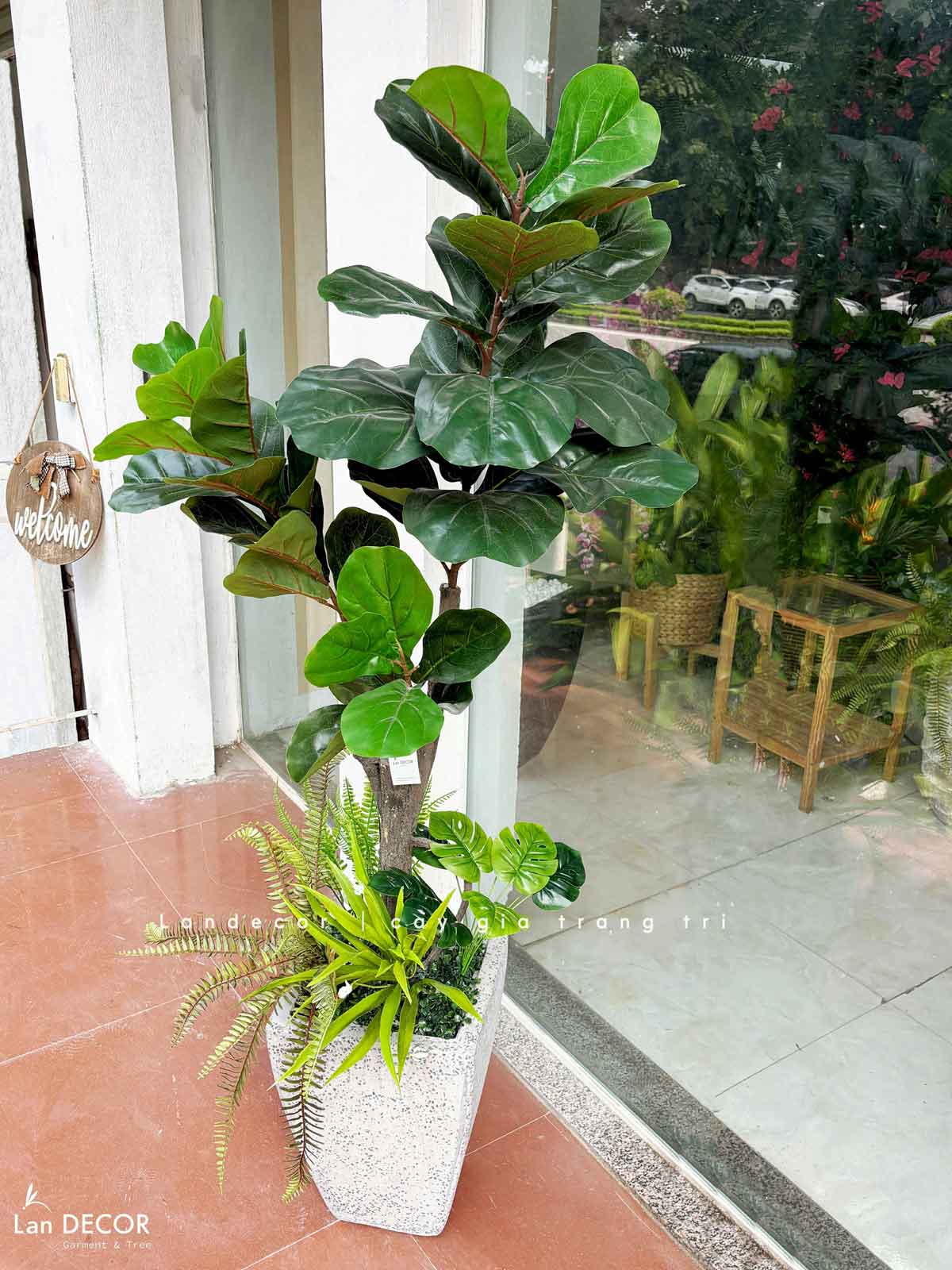 Cây bàng Singapore hiện đại trang trí nhà đẹp (120cm) - LC2913