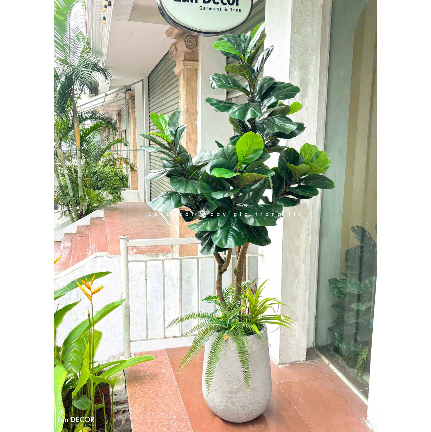 Cây Bàng Giả Decor- Cây Bàng Giả Thiết Kế Lan Decor, Trang Trí Không Gian Xanh Hiện Đại (170cm)- CC1147