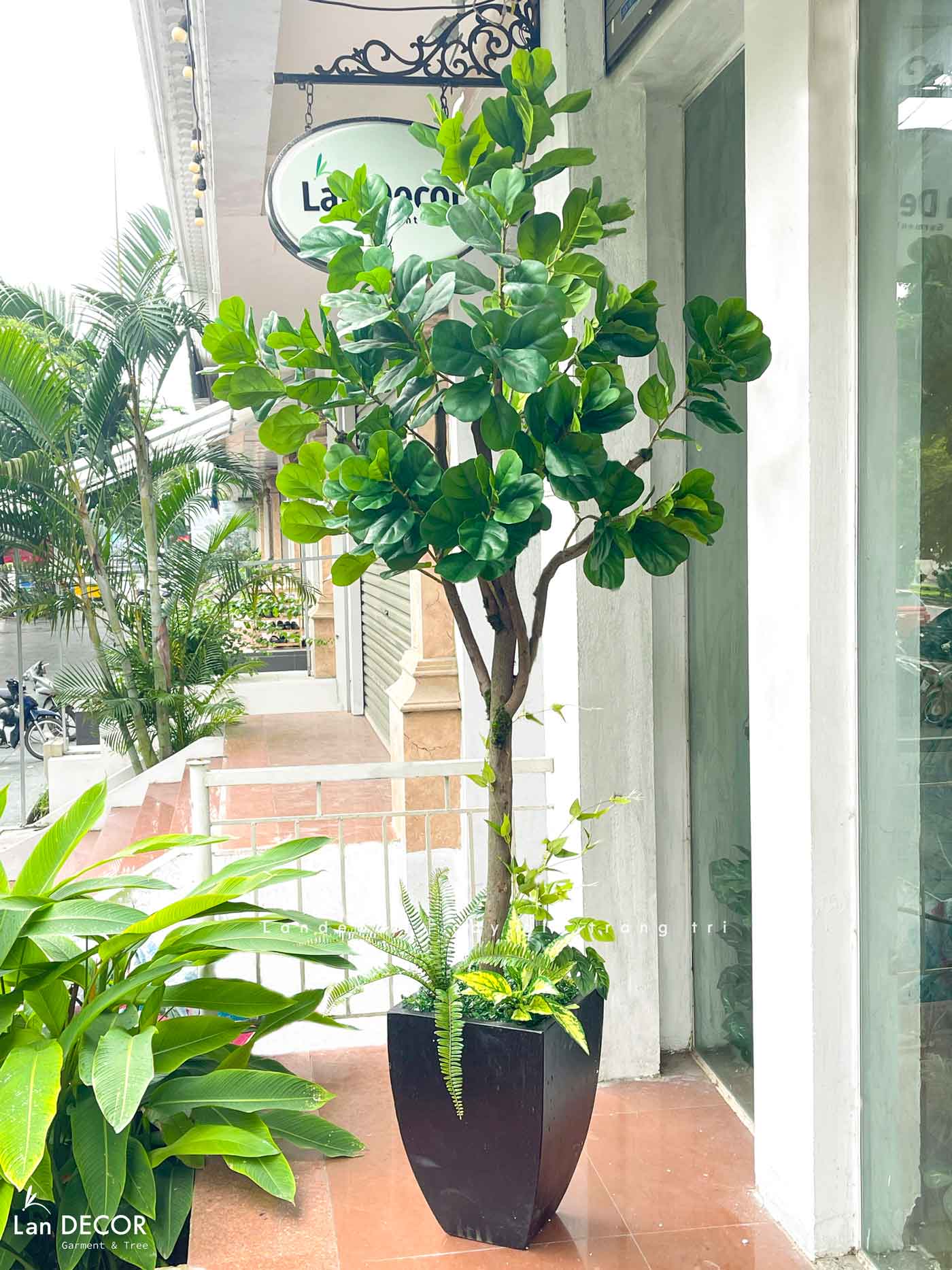 Cây Bàng Giả Decor- Cây Bàng Lá Non Thiết Kế Tiểu Cảnh Cửa Hiệu, Trung Tâm Thương Mại (210cm)- CC1114