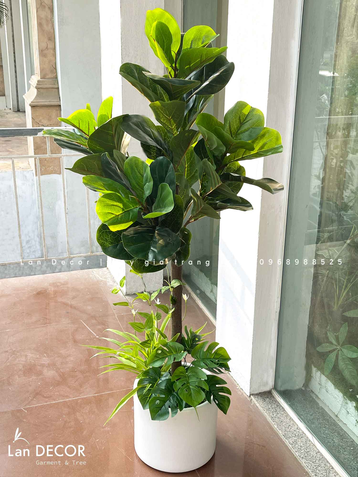 Cây bàng Singapore hiện đại trang trí nhà đẹp (120cm) - LC2771
