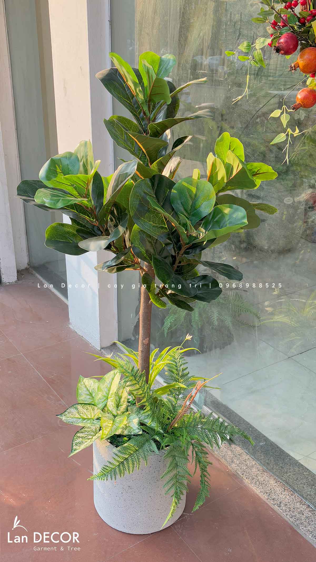 Cây bàng Singapore hiện đại trang trí nhà đẹp (120cm) - LC2771