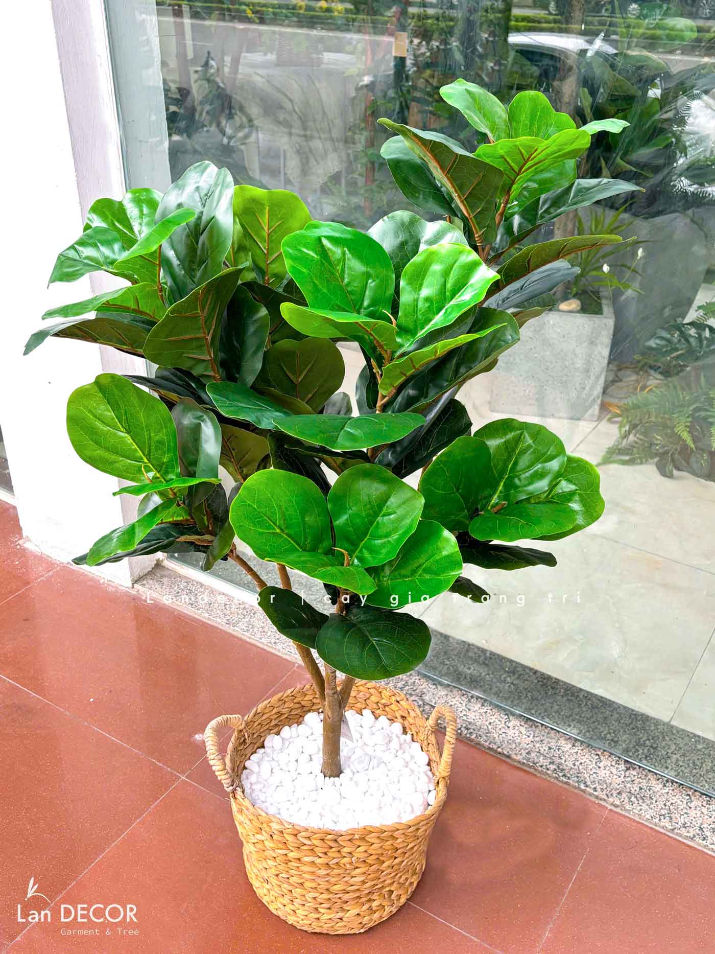 Cây Bàng Sing Giả- Cây Bàng Singapore Trang Trí Nội Thất Landecor ( 105cm) - LC3170