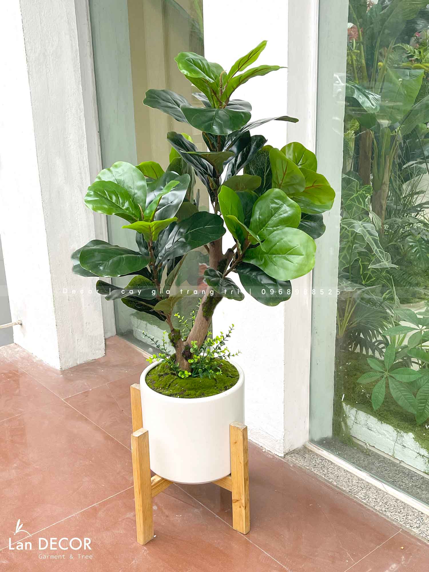 Cây Bàng Singapore Decor Nhà Hiện Đại (100cm)- CC1002