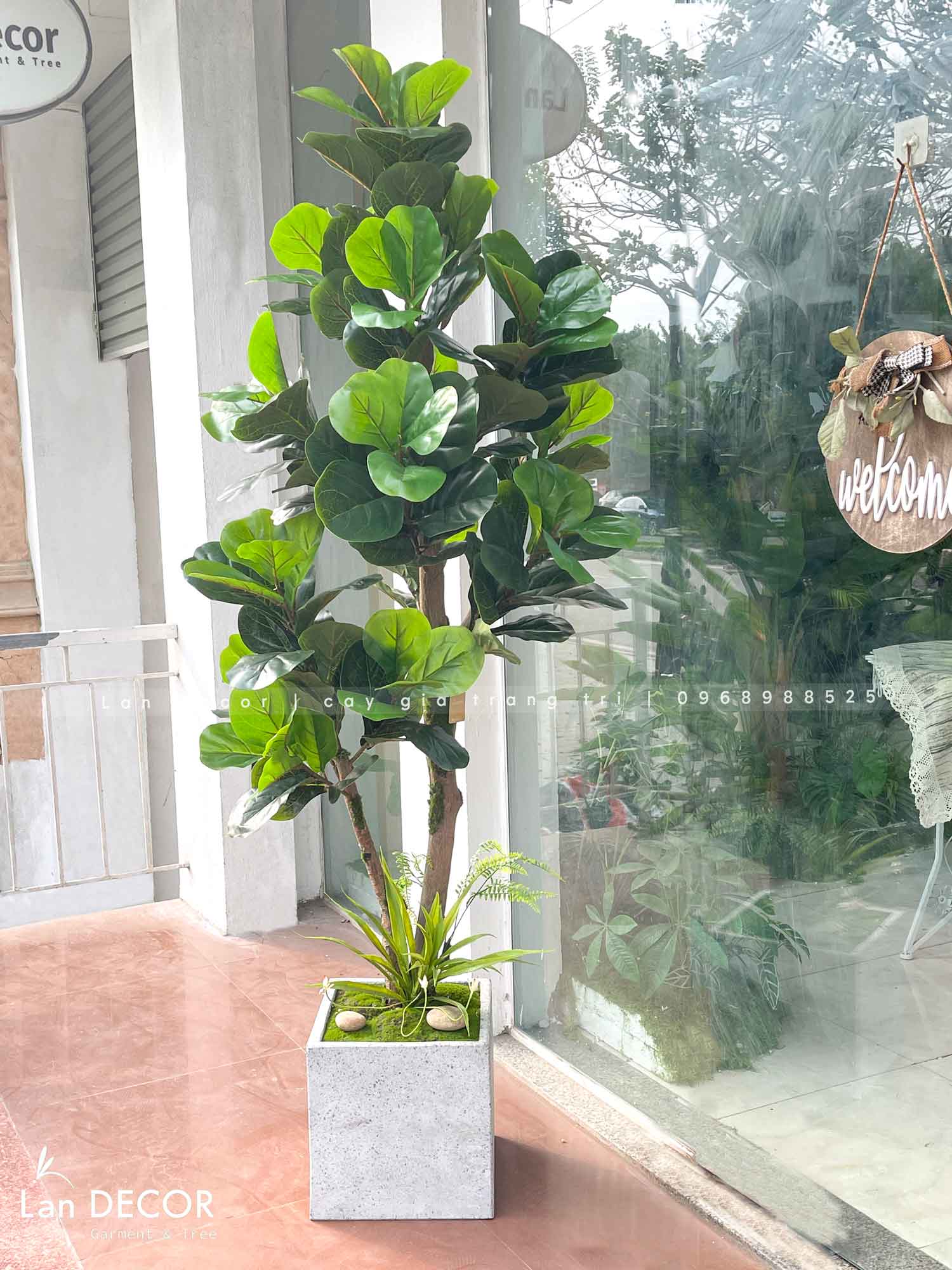 Cây Bàng Singapore Giả Trang Trí Bền Đẹp (180cm)- CC1001