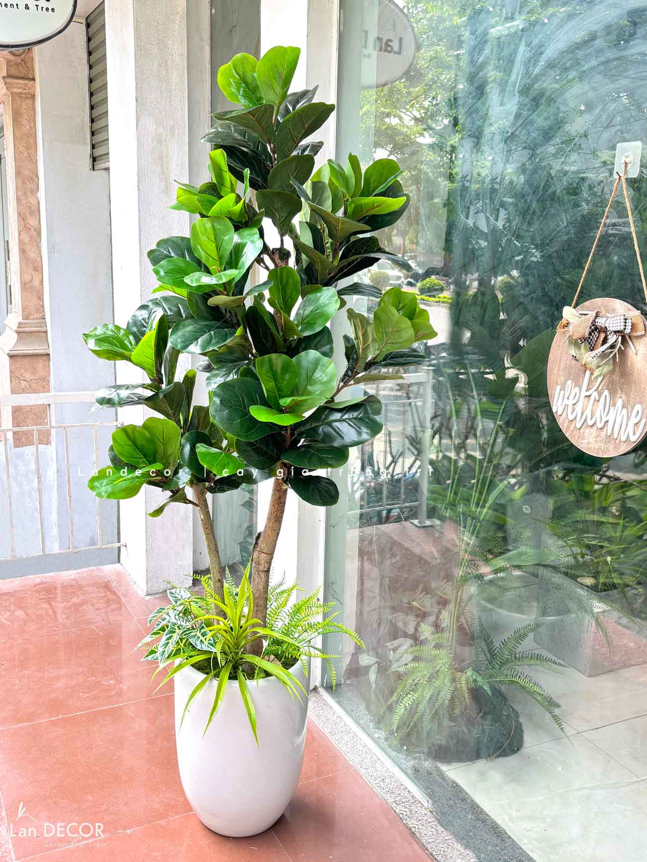 Cây Bàng Singapore Giả Trang Trí Bền Đẹp (180cm)- CC1001