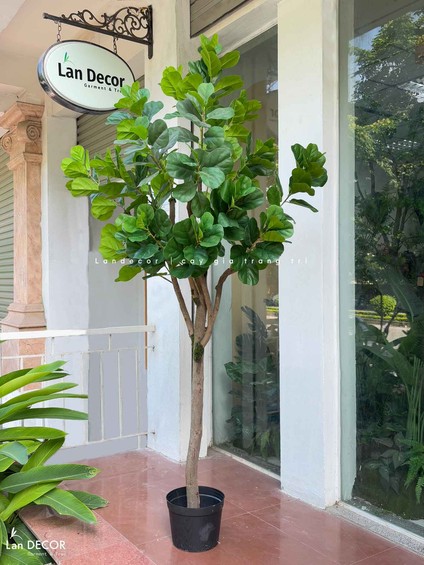 Cây Bàng Giả Decor- Cây Bàng Lá Non Thiết Kế Tiểu Cảnh Cửa Hiệu, Trung Tâm Thương Mại (210cm)- CC1114