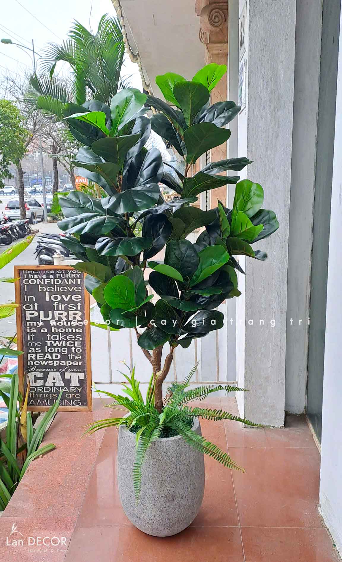 Cây Giả Decor- Cây Bàng Thiết Kế Trang Trí Không Gian (145cm)- CC1045