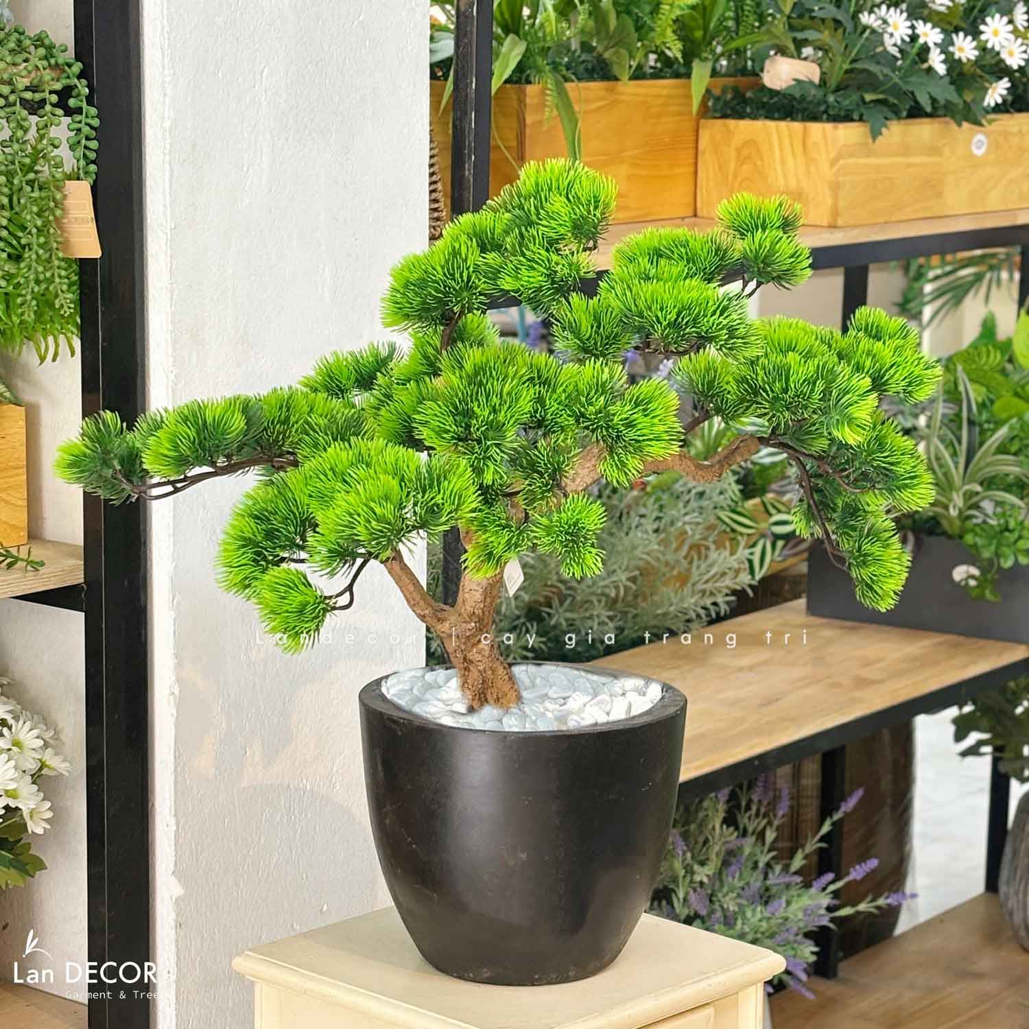 Cây Bonsai Thiết Kế - Cây Tùng Bonsai Giả Thiết Kế Để Bàn Phòng Khách (55cm)- CC1272