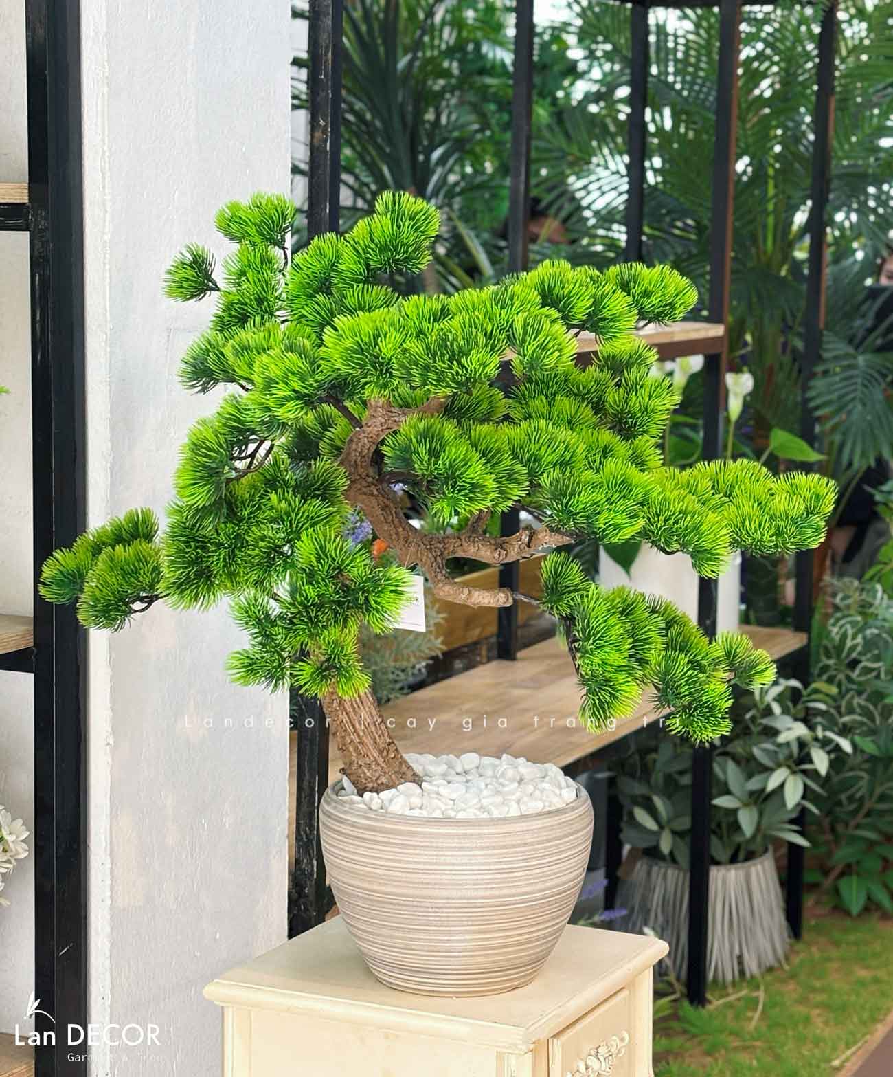 Cây Bonsai Thiết Kế - Cây Tùng Bonsai Giả Trang Trí (60cm)- CC1271
