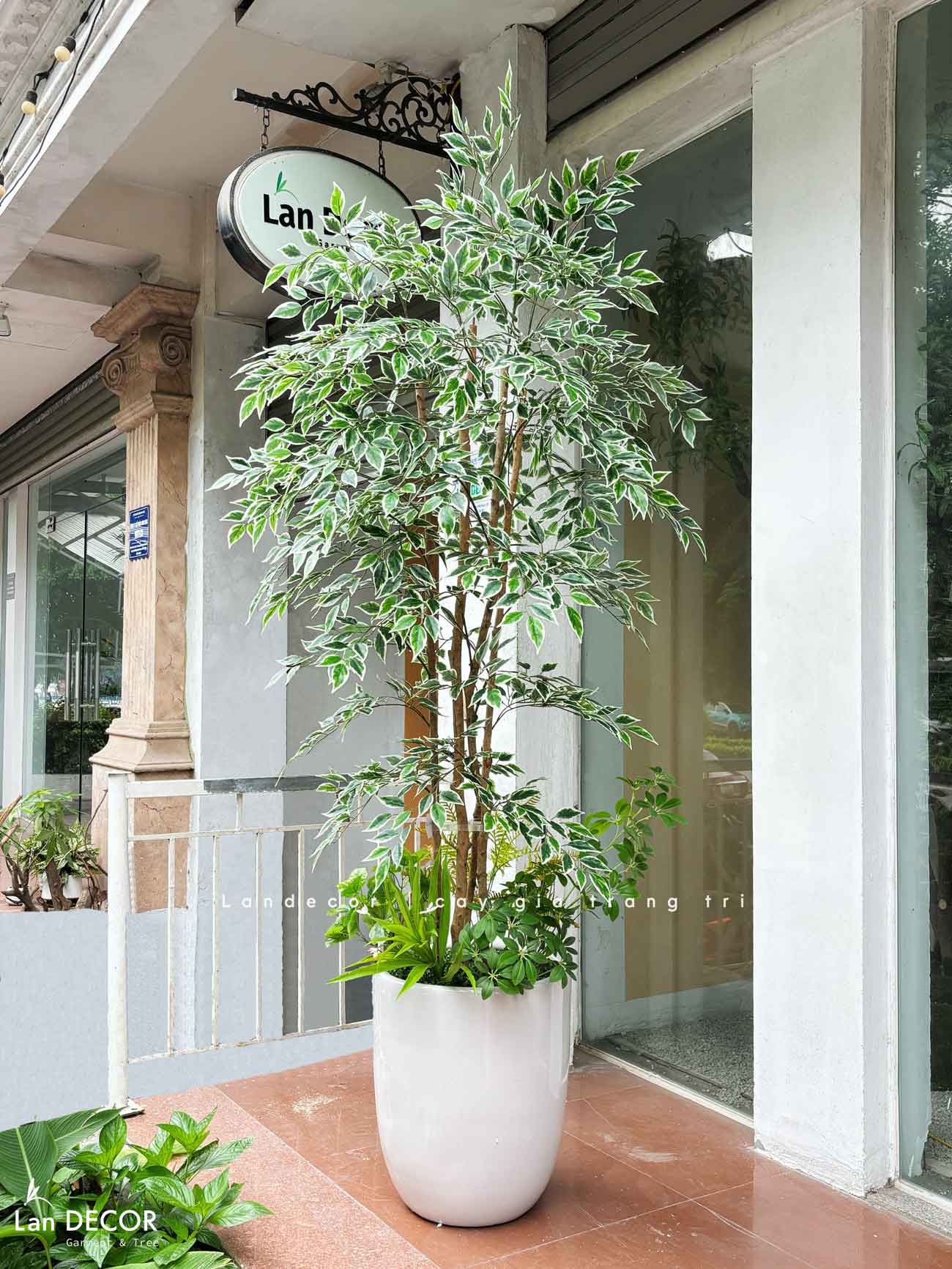 Cây Giả Trang Trí- Cây Cẩm Thạch Giả Decor Không Gian Độc Đáo (180cm)- LC3961