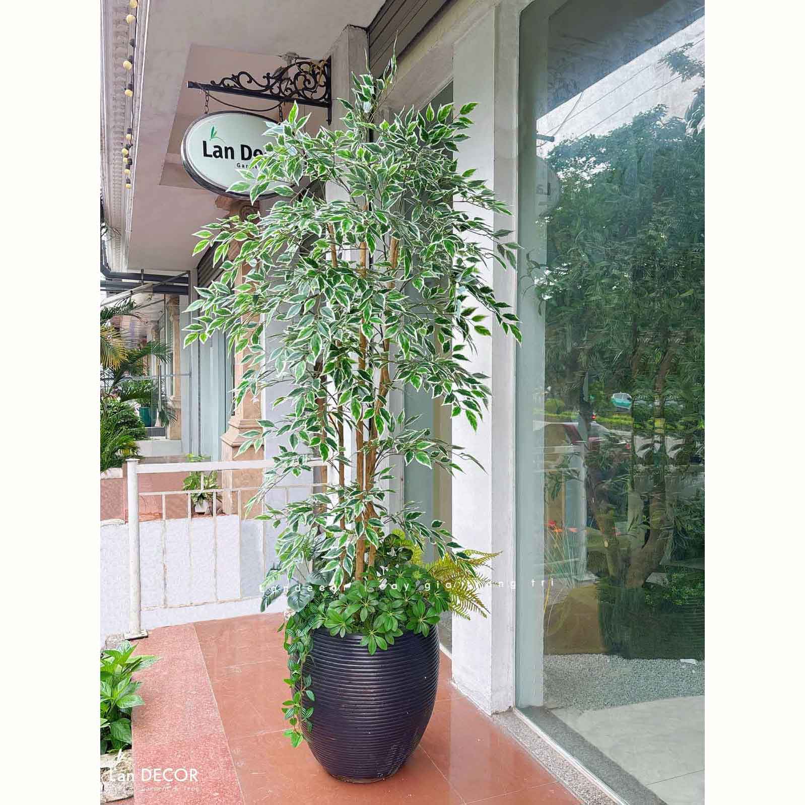 Cây Giả Trang Trí- Cây Cẩm Thạch Giả Decor Không Gian Độc Đáo (180cm)- LC3961