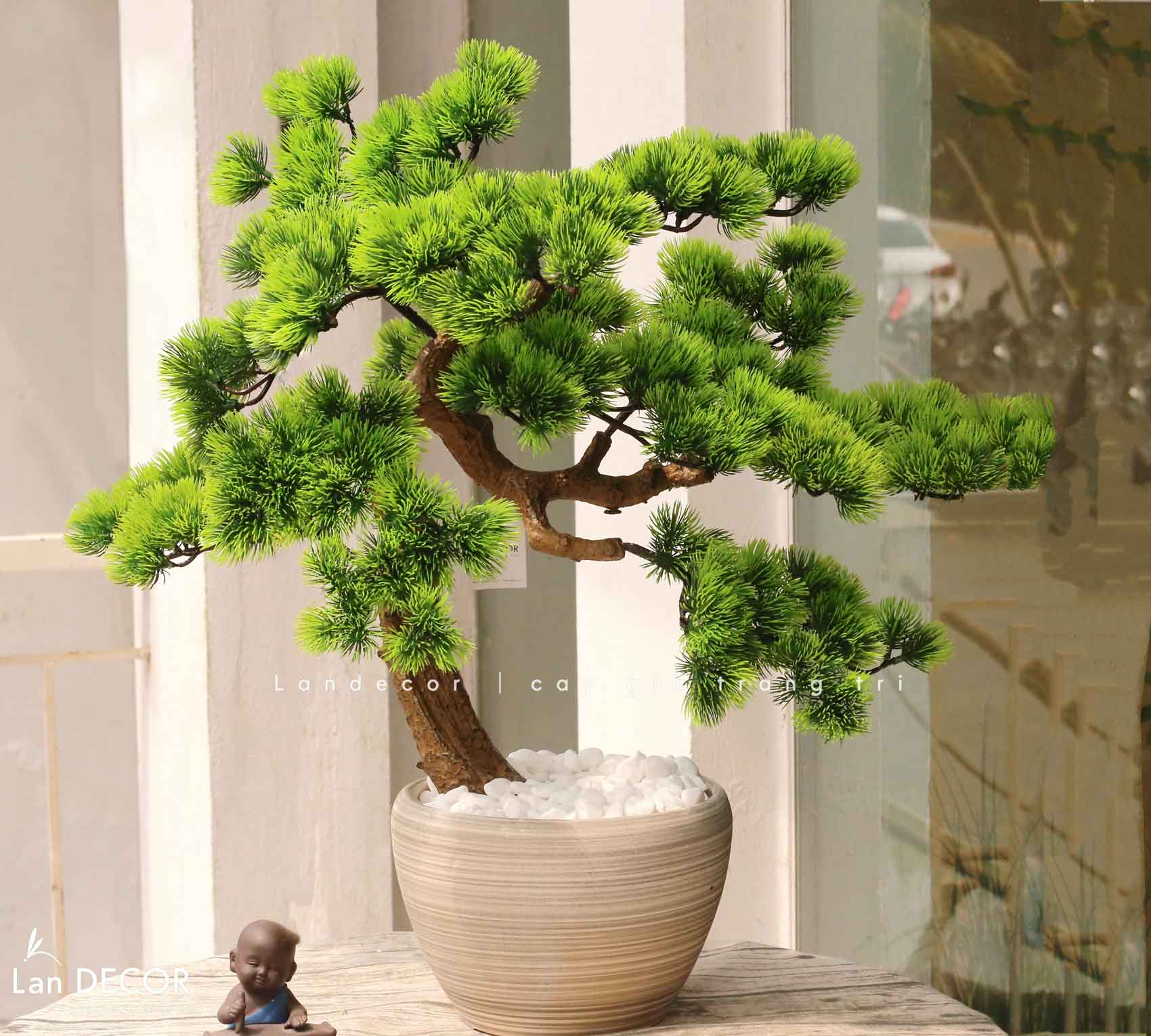 Cây Bonsai Thiết Kế - Cây Tùng Bonsai Giả Trang Trí (60cm)- CC1271