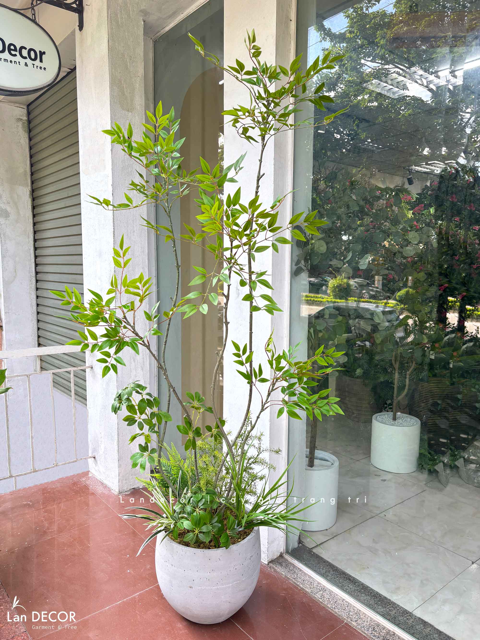 Nam Thiên Trúc Giả- Cây Nam Thiên Trúc Giả Decor Căn Hộ Hiện Đại (190cm)- LC3047-5