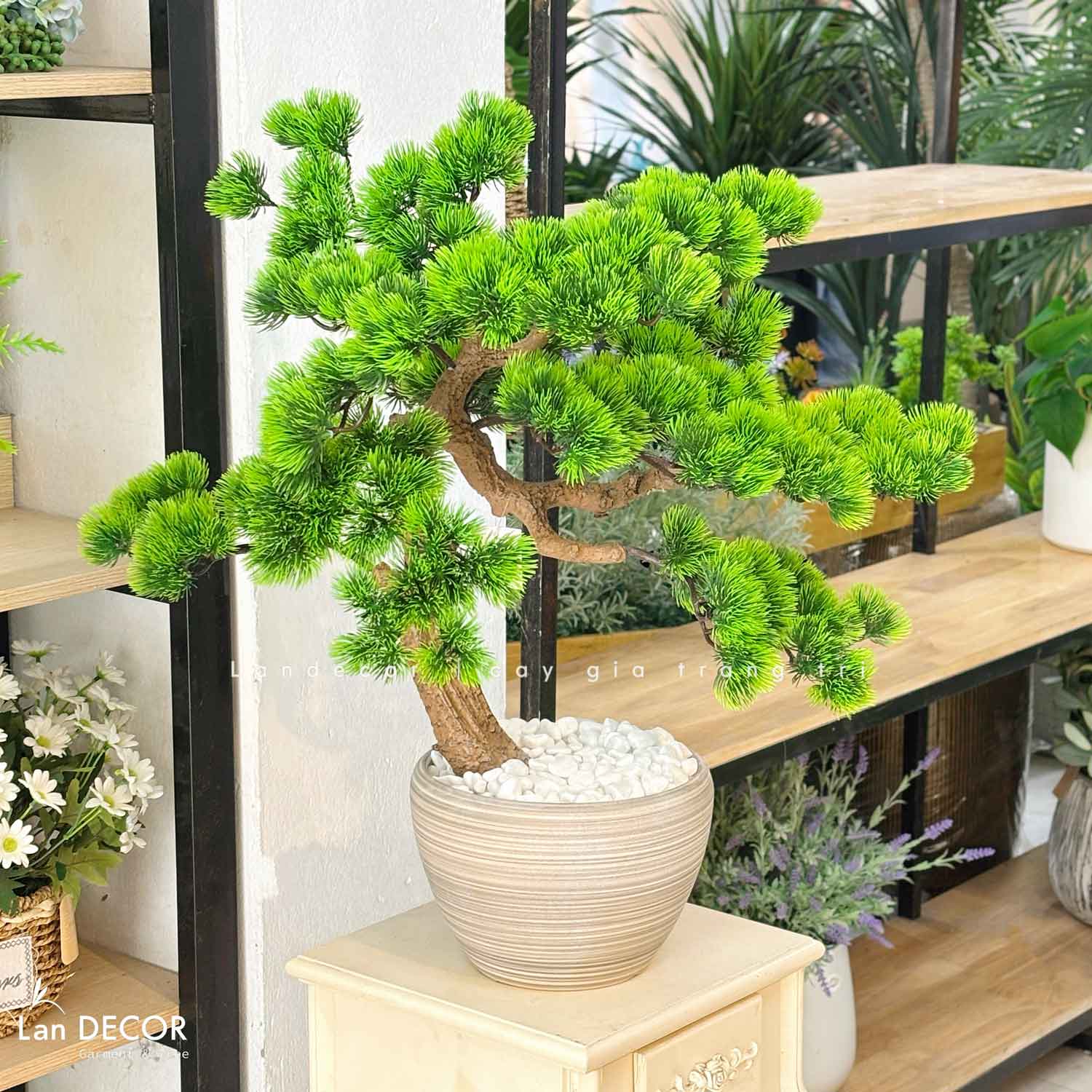 Cây Bonsai Thiết Kế - Cây Tùng Bonsai Giả Trang Trí (60cm)- CC1271