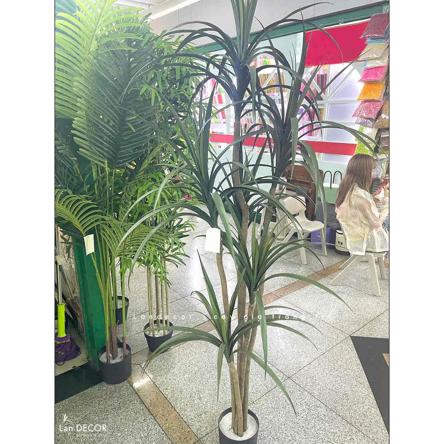 Cây Giả Decor- Cây Yucca Giả Decor Quán Cafe Phong Cách Nhiệt Đới (160cm)- LC3786