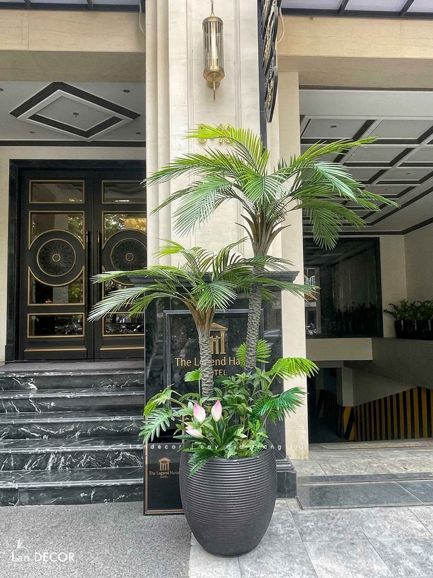Cây Giả - Cây Chà Là Giả 2 Thân Thiết Kế Văn Phòng Hiện Đại (210cm)- LC3567- ghép