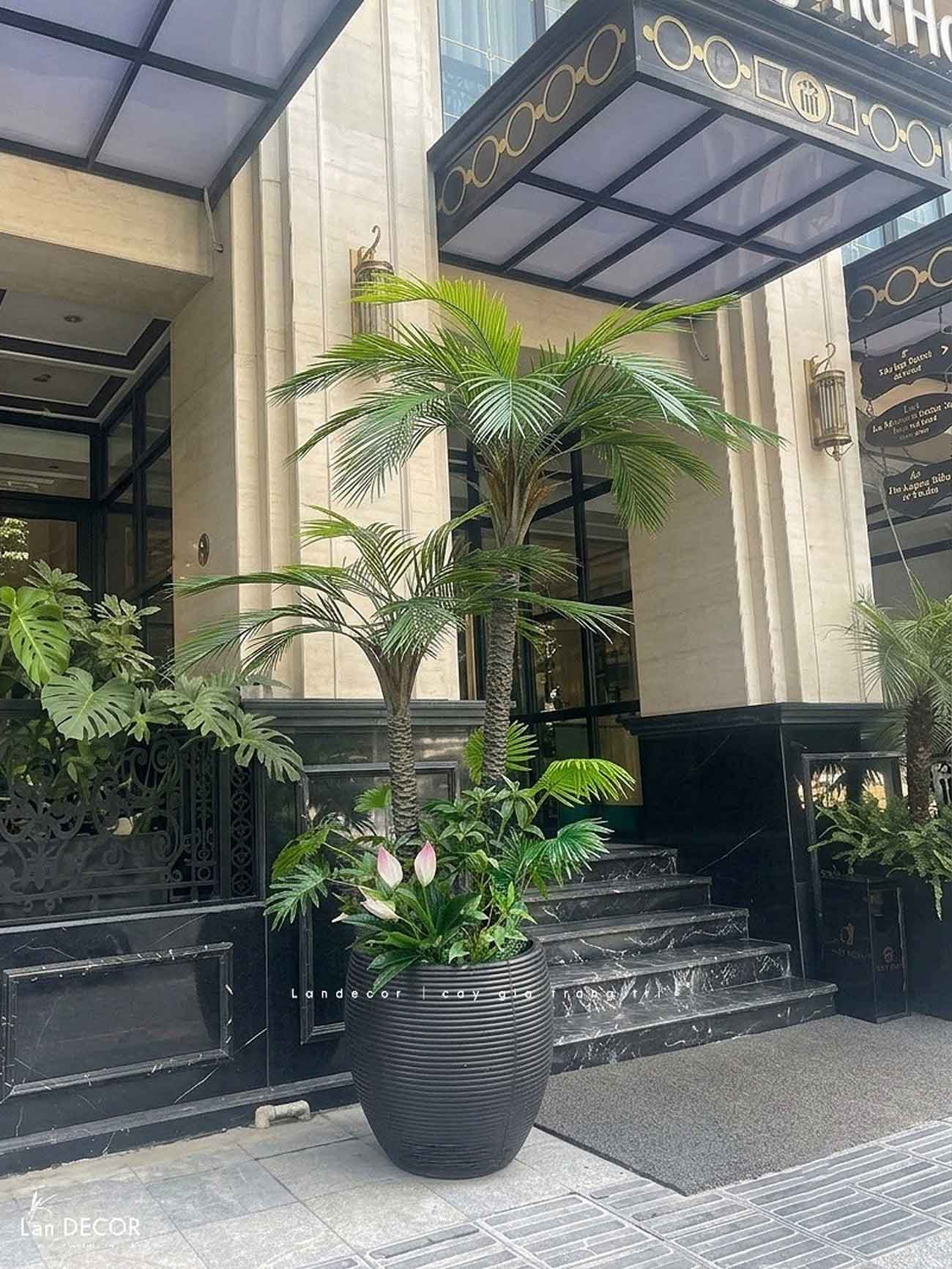 Cây Giả - Cây Chà Là Giả 2 Thân Thiết Kế Văn Phòng Hiện Đại (210cm)- LC3567- ghép