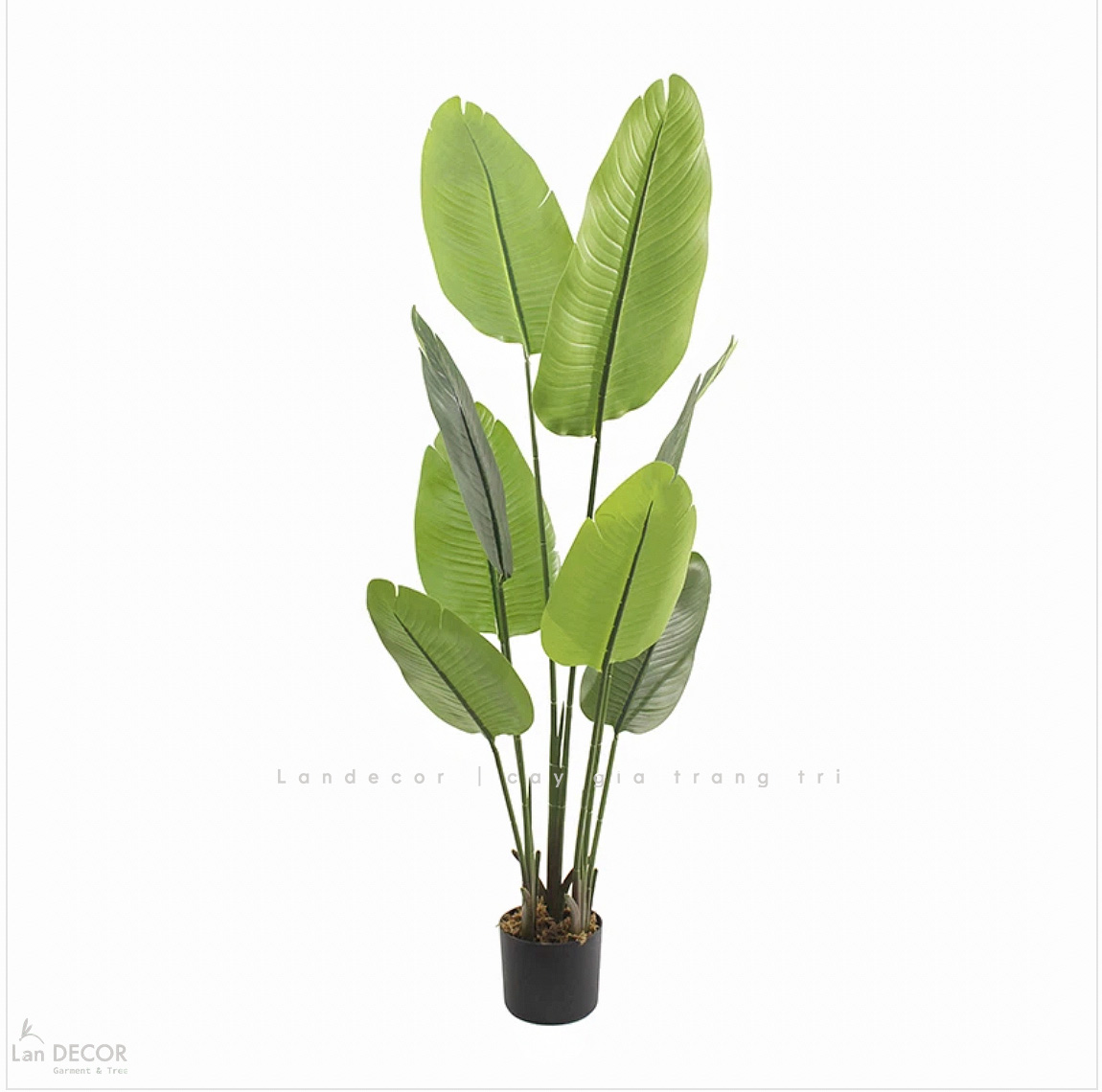 Cây Giả- Cây Chuối Giả Trang Trí Nhà Cửa Xanh Mát (160cm)- LC3522