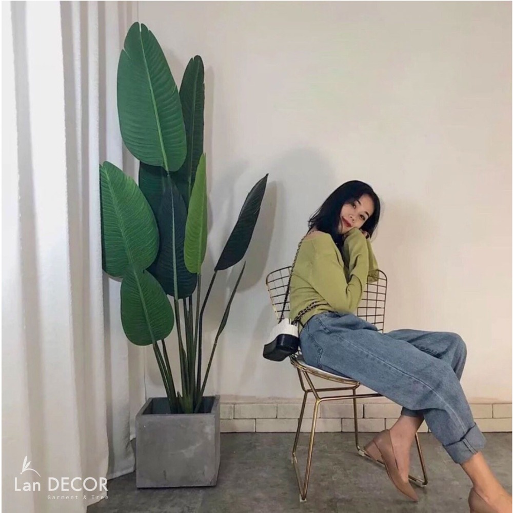 cây chuối rẻ quạt nhựa