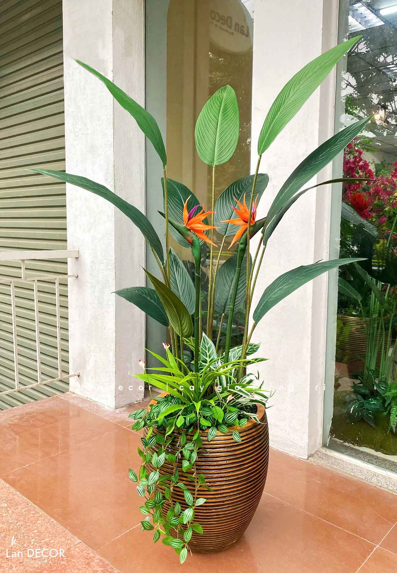 CÂY CHUỐI THIÊN ĐIỂU TRƯNG BÀY CỬA HÀNG XANH MÁT (170cm)- CC889