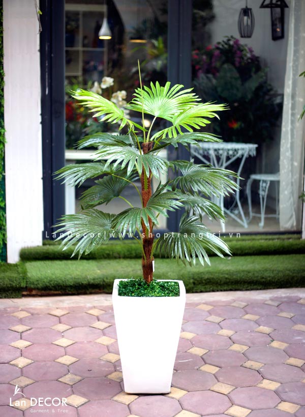Cây cọ cảnh trang trí không gian hiện đại sang trọng (120cm) - LC2862