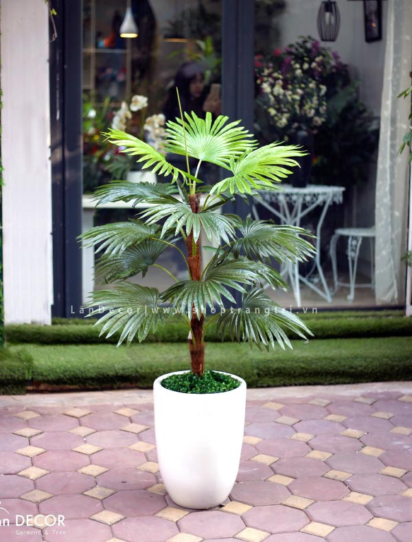 Chậu Cây cọ mix trang trí nội thất (120cm) - LC2862 Mix