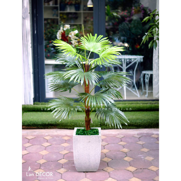 Chậu Cây cọ mix trang trí nội thất (120cm) - LC2862 Mix