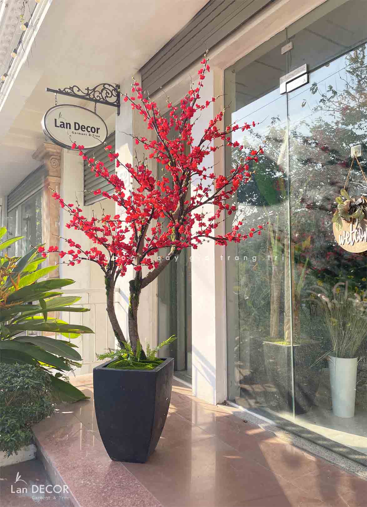 CHẬU CÂY HOA ĐÀO- HOA ĐÀO BÍCH GIẢ TRANG TRÍ TẾT, DECOR NỘI THẤT LAN DECOR (2M1)- CC793