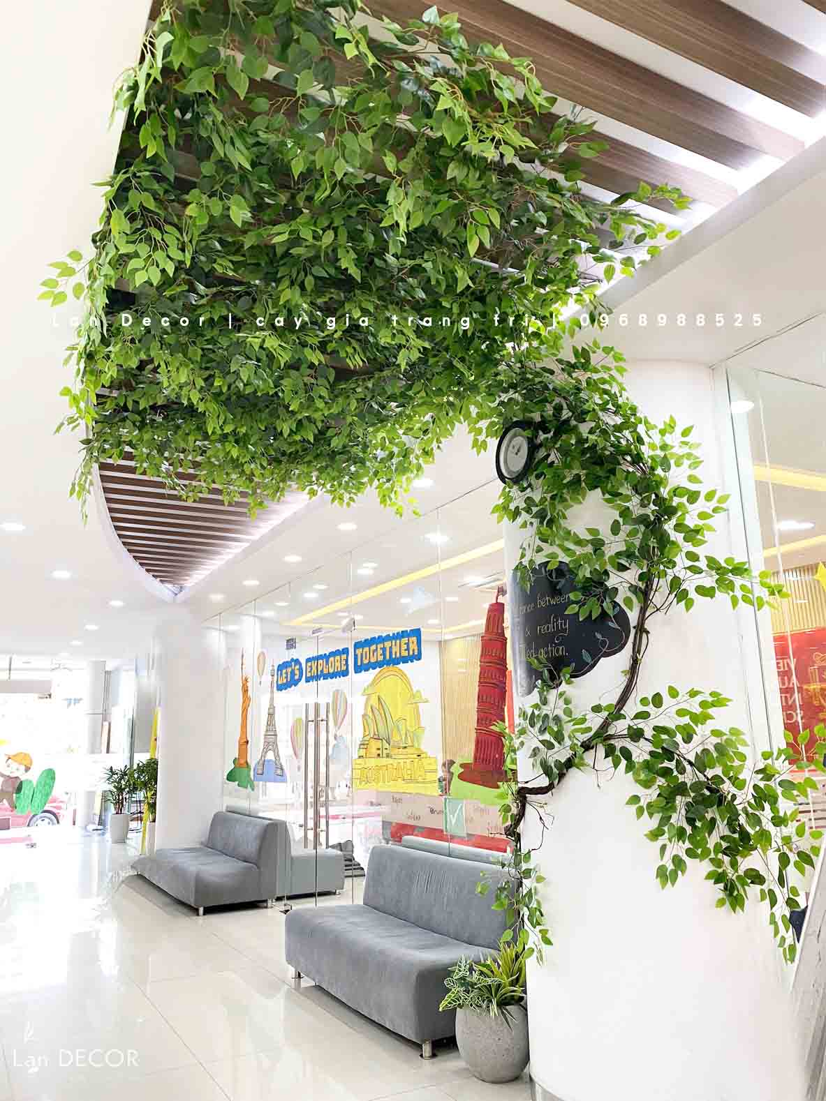 Mẫu cây leo, giàn cây leo, thả trần trang trí tường, đẹp tự nhiên