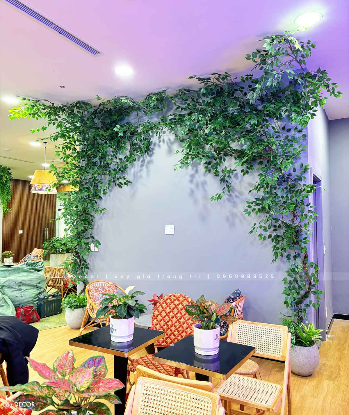 Thiết Kế, Thi Công Tiểu Cảnh Cây Leo Rủ, Kiến Tạo Văn Phòng Xanh - Văn Phòng Vikki Hà Nội