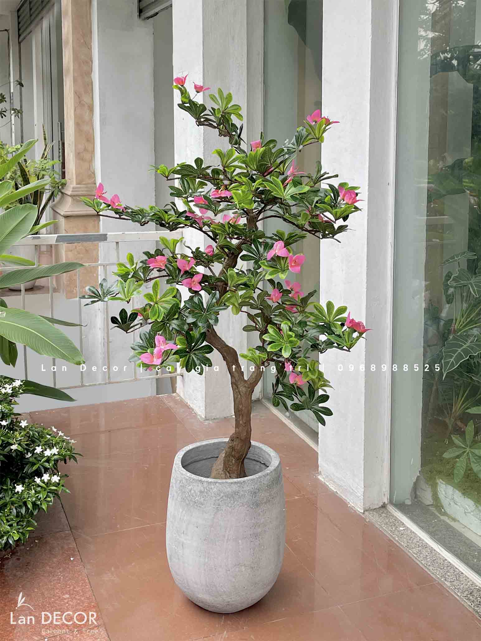 Cây hoa Đỗ Quyên trang trí LanDecor (130cm) - CC566
