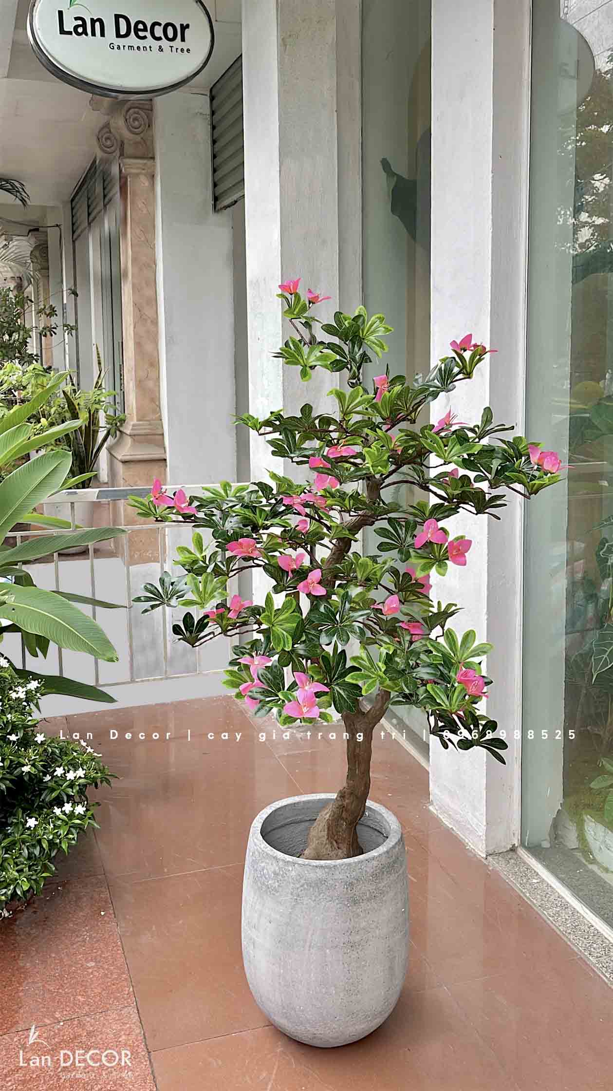 Cây hoa Đỗ Quyên trang trí LanDecor (130cm) - CC566