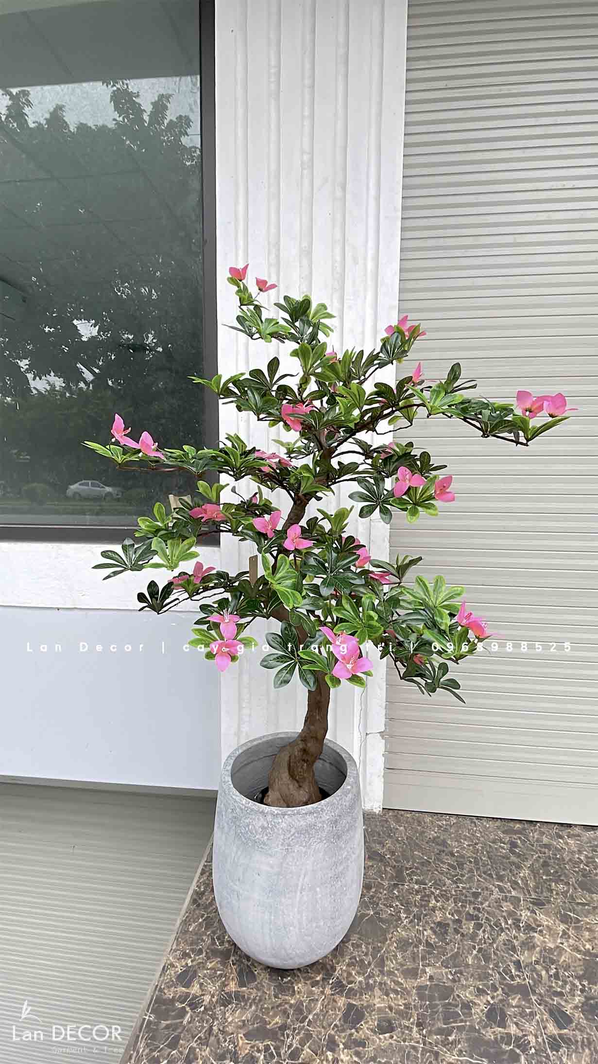 Cây hoa Đỗ Quyên trang trí LanDecor (130cm) - CC566
