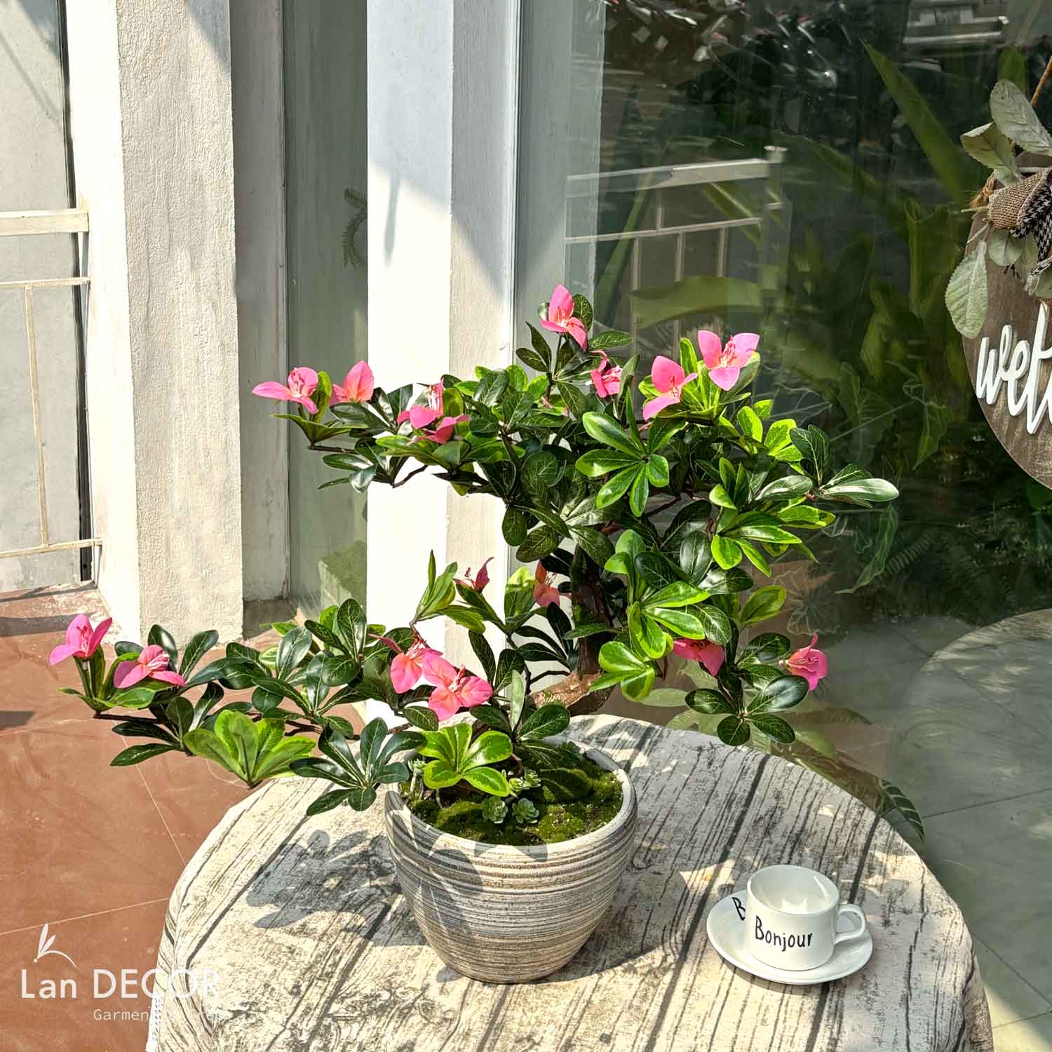 Cây hoa Đỗ Quyên bonsai thiết kế Lan Decor (55cm)- CC987