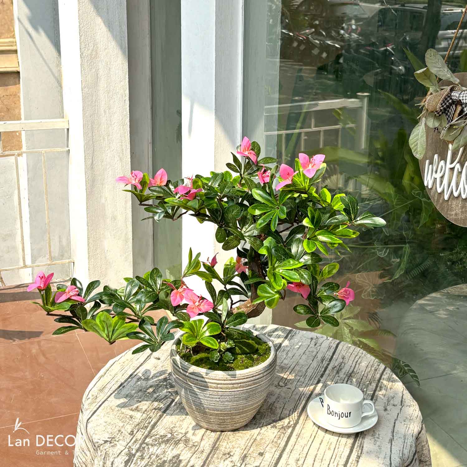 Cây hoa Đỗ Quyên bonsai thiết kế Lan Decor (55cm)- CC987