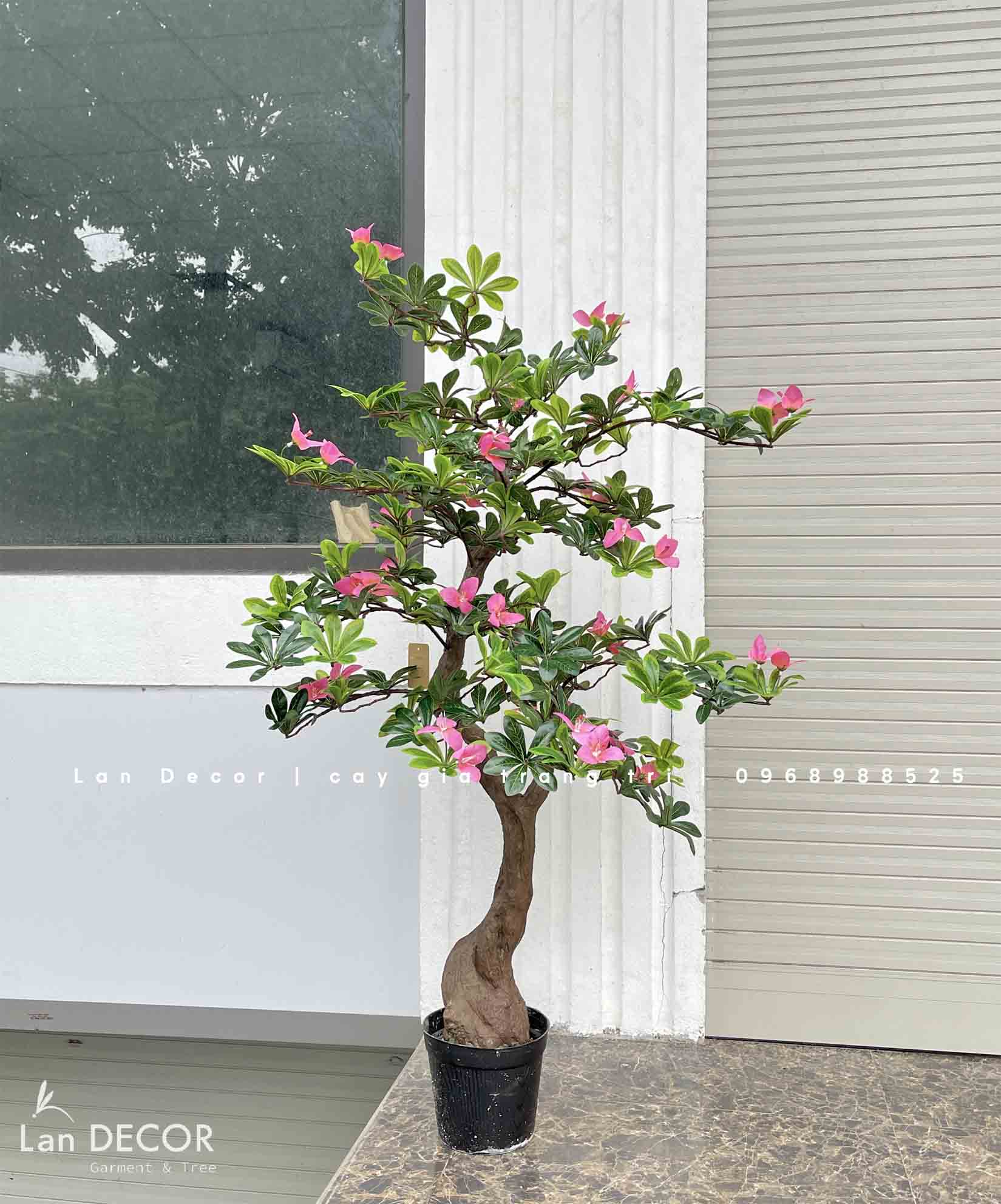 Cây hoa Đỗ Quyên trang trí LanDecor (130cm) - CC566