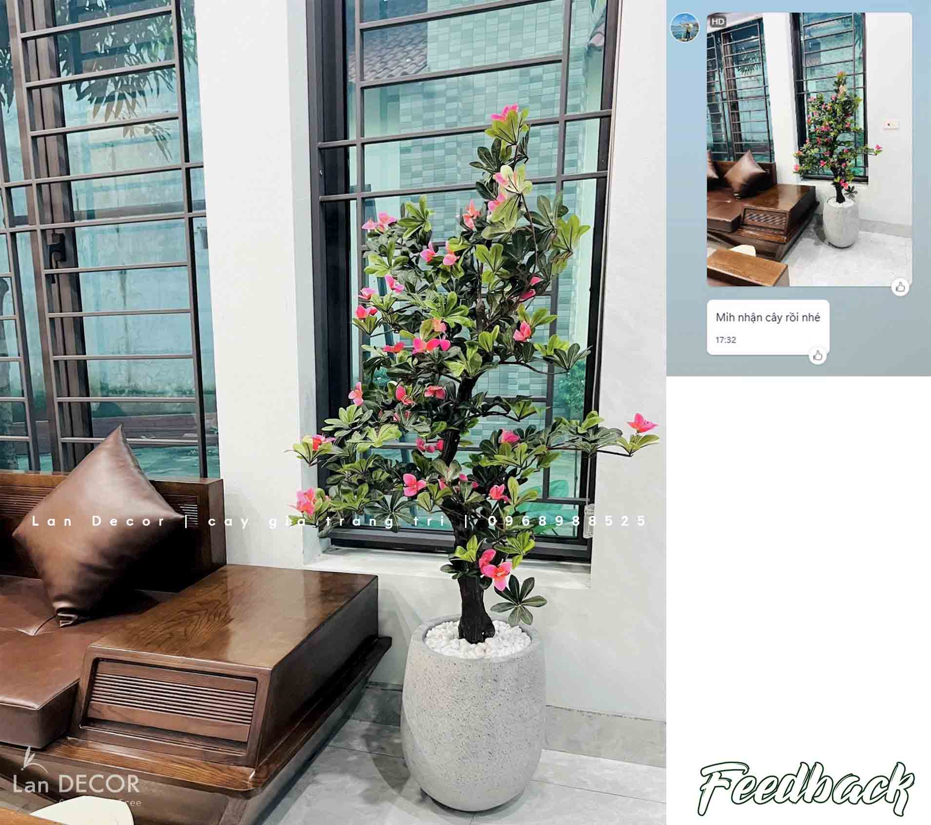 Cây hoa Đỗ Quyên trang trí LanDecor (130cm) - CC566