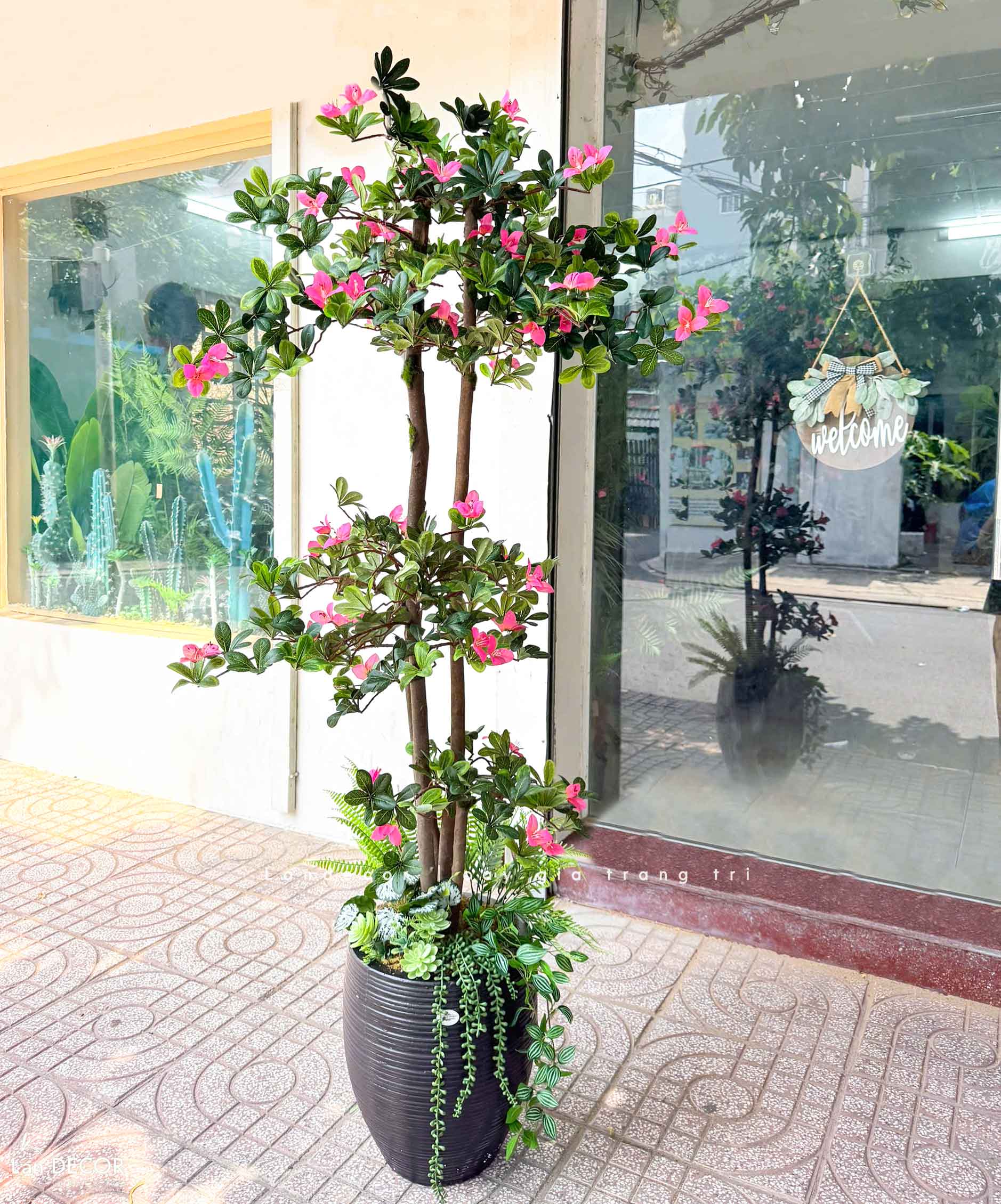 Cây hoa Đỗ Quyên cây cảnh trang trí 165 cm - LC2450