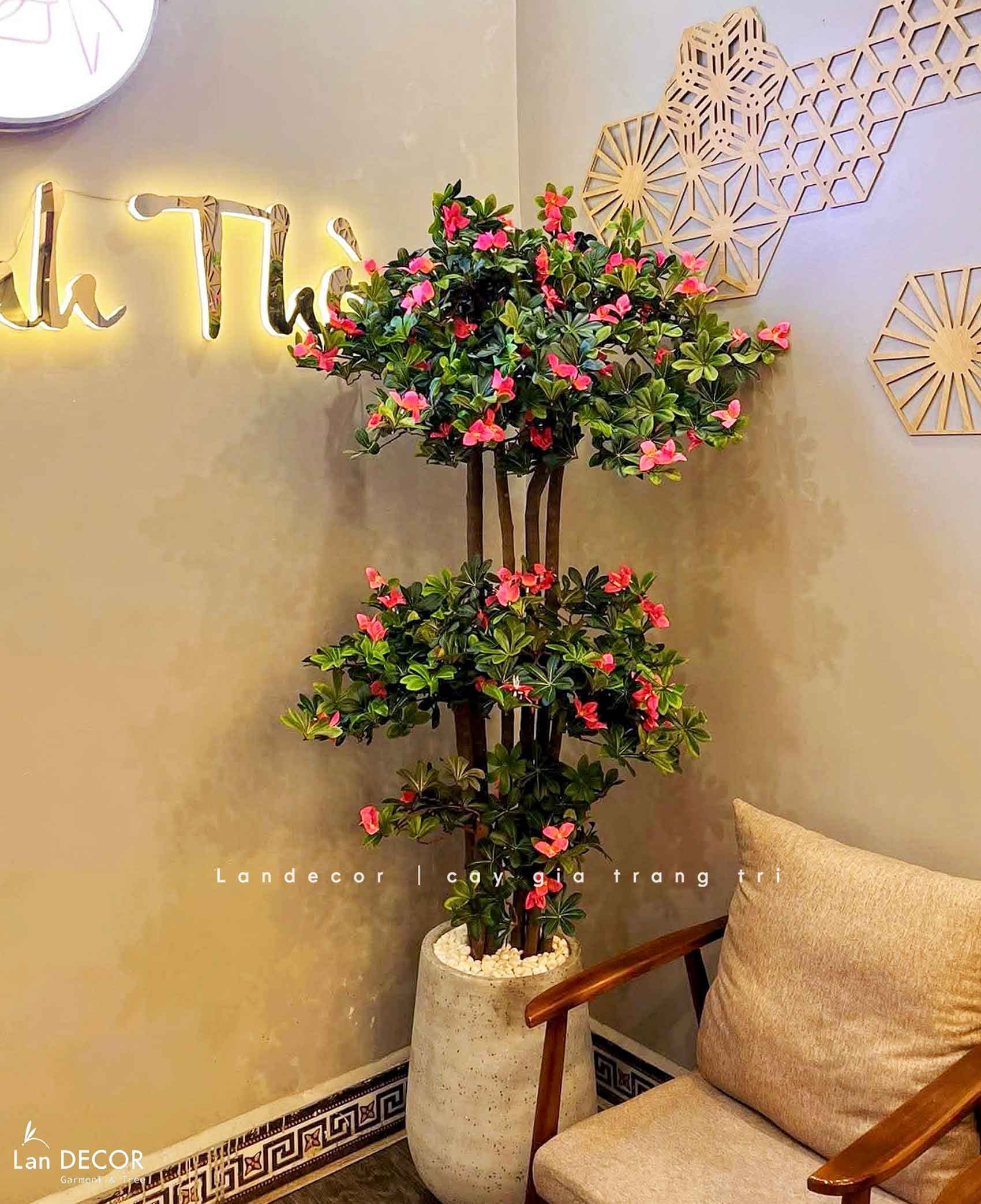 Cây hoa Đỗ Quyên cây cảnh trang trí 190 cm - LC2450-Ghép